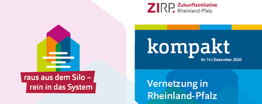 ZIRPkompakt 14 – Vernetzung in Rheinland-Pfalz