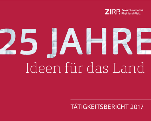 Tätigkeitsbericht 2017